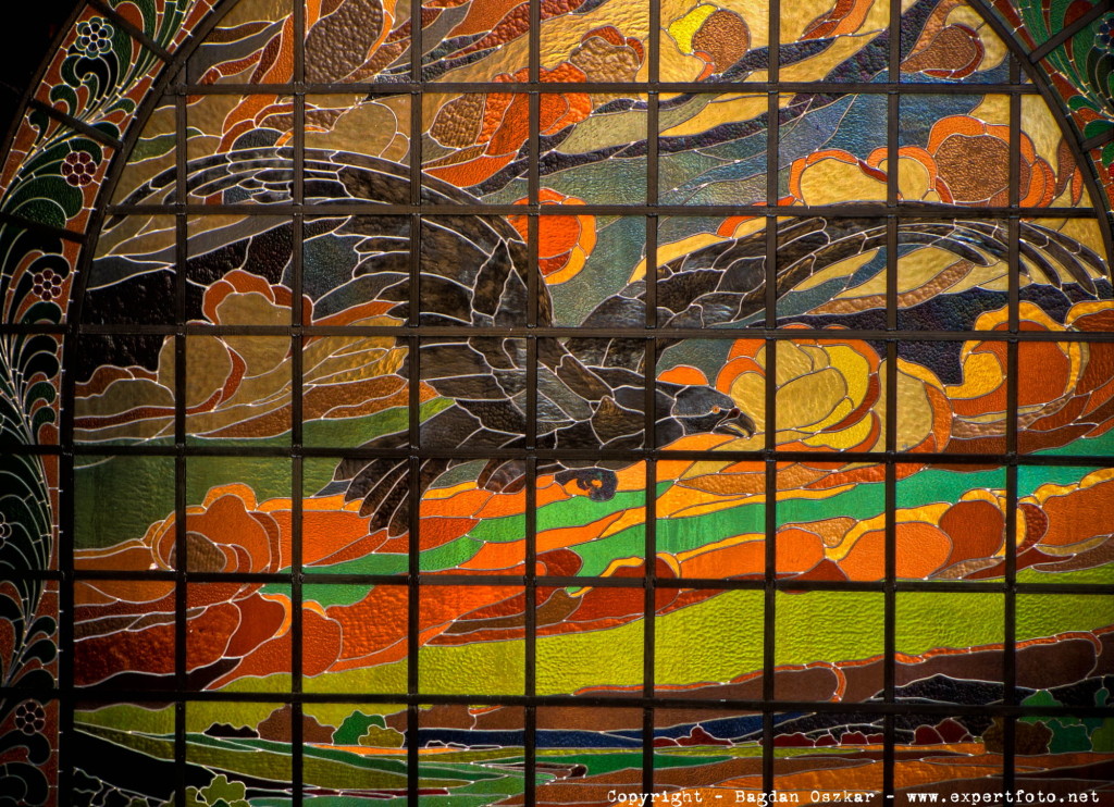saspalota-vulturulnegru